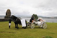 Prestige Wedding Carriages 282239 Image 1